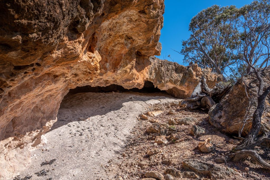 Home Bush Blocks Guardians Inc.